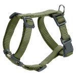 London Rapid Harness - Medium Olive