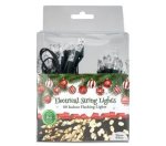 8M Warm White Christmas Fairy Lights 80 LED String