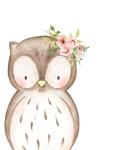 Floral Boho Owl - Canvas Print - 600MM X 600MM