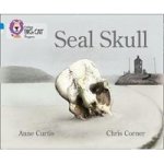 Seal Skull: Band 04 Blue band 16 Sapphire