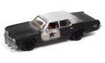 – 1:64 1974 Dodge Monaco Bluesmobile – Pop Culture