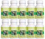 Garcinia Cambogia 60.3% Hca Capsules 60'S Bulk Buy