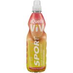 AQuelle Viv Sports Drink Pineberry 500 Ml