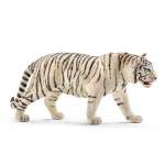 Wildlife - White Tiger