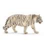 Wildlife - White Tiger