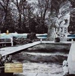 Reluctant Swimmer virtual Surfer Vinyl Record