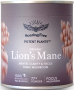 Soaring Free Potent Plants - Lion's Mane Mushroom Powder