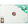 Parrot Whiteboard Magnetic - White 600 X 450mm