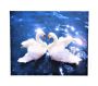 Diamond Painting Diy Kit Round Dot - Harbour Town