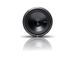 Rockford Fosgate P3D2-12 Punch 12 P3 2-OHM Dvc Subwoofer