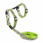 CAT Night Reflective Lead And H-harness Lime Swallows Design Waggs Pet Shop