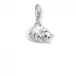 Silver Cats Charm