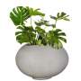 Planted Arizona Shade - Antique Rust / Monstera Deliciosa