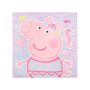 Official Licensed Kids 100% Cotton Face Cloth - 2 Pack