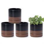 D'vine Dev Set Of 4 Small Ceramic Plant Pots 4.7 Inch Succulent Planter Pot For Plants With Drainage Hole And Saucer Black speck