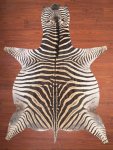 A Grade Zebra Hide 041 L