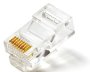 Aipu-waton CAT.6 100 Pack Unshielded RJ45 Connectors