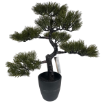 317220120-4 Bonsai Tree In Pot 50CM