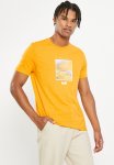 Levi's Artists Mountain Grp Tee - Autumn Blaze