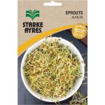 Alfalfa Sprout Seeds