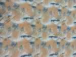 French Tye Dye Terry Print
