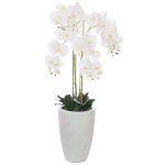Floor Standing White Orchid
