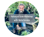 Advanced Grow Workshop With Natie Ferreira Cape Town - 25 May 2024