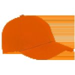 6 Panel Alloy Cap