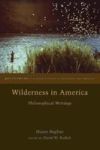 Wilderness In America - Philosophical Writings Paperback