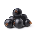 Blackcurrant Concentrate - 50ML