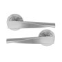 Inspire Door Handles Tessa Rose 2PLATES Zinc Satin Nickel