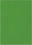 A4 Bright Paper 80GSM Christmas Green 100 Sheets