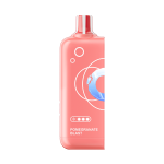 EW16000 50MG Pod Pomegranate Blast No Battery