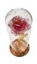Red And Gold Dried Flower Rose With Brown Base - LED Fairy Lights