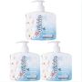 Gentle Hygiene Magnolia Hand Wash 400ML - Pack Of 3