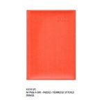 A4 Diary Page A 2026 Orange