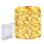 10M 100 LED Copper Wire Fairy Lights - Warm White 3AA