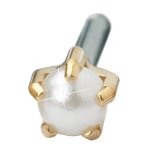 Blomdahl Cassette Golden Titanium Tiffany Pearl 4MM Single