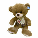 Plush Brown Bear With Love Scarf 35CM