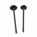 Bashan Xplode 250 Valves