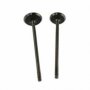 Bashan Xplode 250 Valves