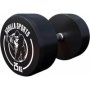 Fixed Dumbbell 25KG