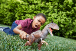 Control N Conquer Carnotaurus Toro Large Dinosaur