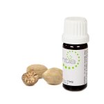 Escentia Nutmeg Pure Essential Oil - 20ML