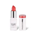 Get Set Matte Lipstick - Nightingale 1