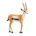 Wildlife - Thomson Gazelle