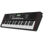 Roland E-X10 Arranger Keyboard