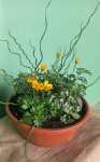 Flower Gift Bowl 23CM Pot