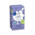 Carmien Kiddies Cold Brew Apple Blueberry 50G 20'S