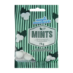 Peppermint Flavoured Mints 75G